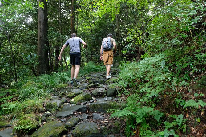 Hike Japan Heritage Hakone Hachiri with certified mountain guide - Yamanaka Castle Ruins: smaller ruins, big viewpoint potential
