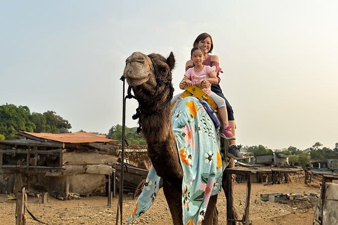 Hill-station & Heritage: Lonavala & Karla Caves Tour from Mumbai - The drive out of Mumbai: expect traffic, then enjoy the climb