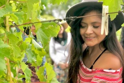 Hinterland Heritage Wine Tour - Price and value: what you’re really paying for at $143.45