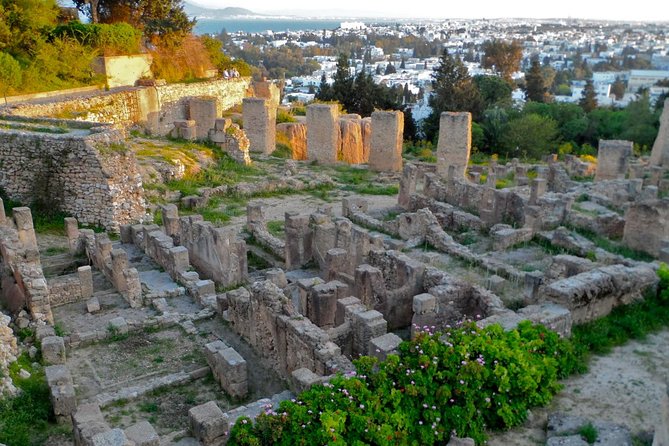Historical Tour of Ancient Carthage - Key things that make this Carthage tour worth your time