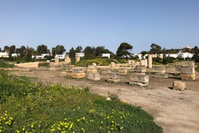 Historical Tour of Ancient Carthage - Price and logistics for a 3.5-hour Carthage loop