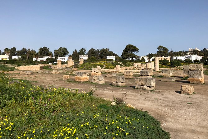 Historical Tour of Ancient Carthage - Price and logistics for a 3.5-hour Carthage loop