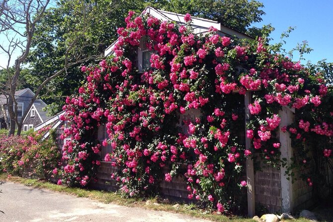 Historical Tour of Nantucket - Guides Make or Break It: What You’ll Likely Experience