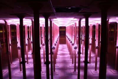 Houston: Buffalo Bayou Park Cistern History Tour - From Drinking Water Reservoir to Public Cistern