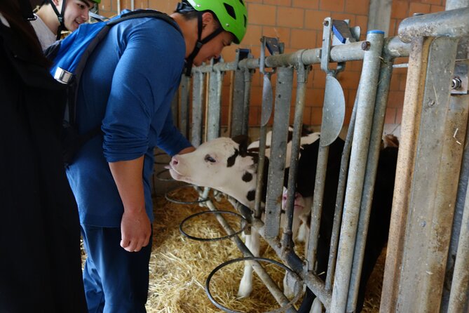 Interlaken 3-Hour Guided E-Bike Tour with a Farm and Ancient Villages Visit - The Working Farm Stop: Cows, Horses, and Fresh Milk