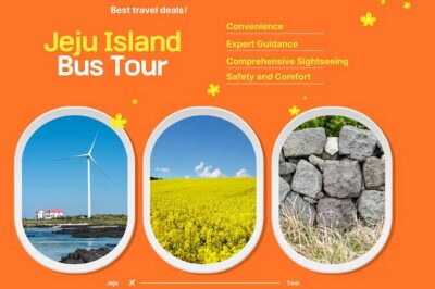 Jeju Island UNESCO Heritage Bus Tour - Day 1 Stop 1: Saryeoni Forest Path for a calm start