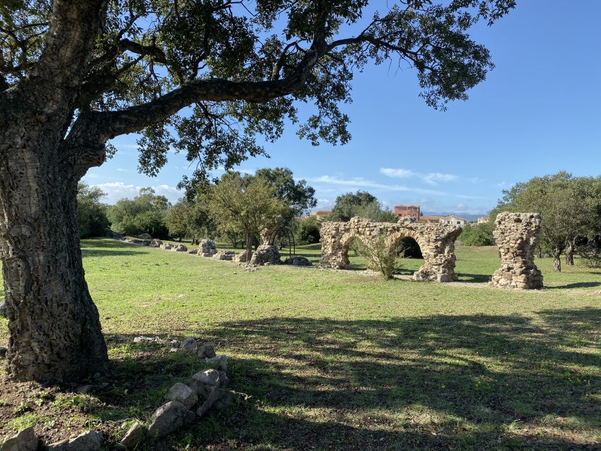 Journey Through Time - Discover Sardinia's Ancient Treasures - Key highlights worth aiming for