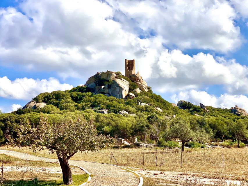 Journey Through Time - Discover Sardinia's Ancient Treasures - Scenic drives that actually help: Lungomare di Olbia and Parco Fausto Noce