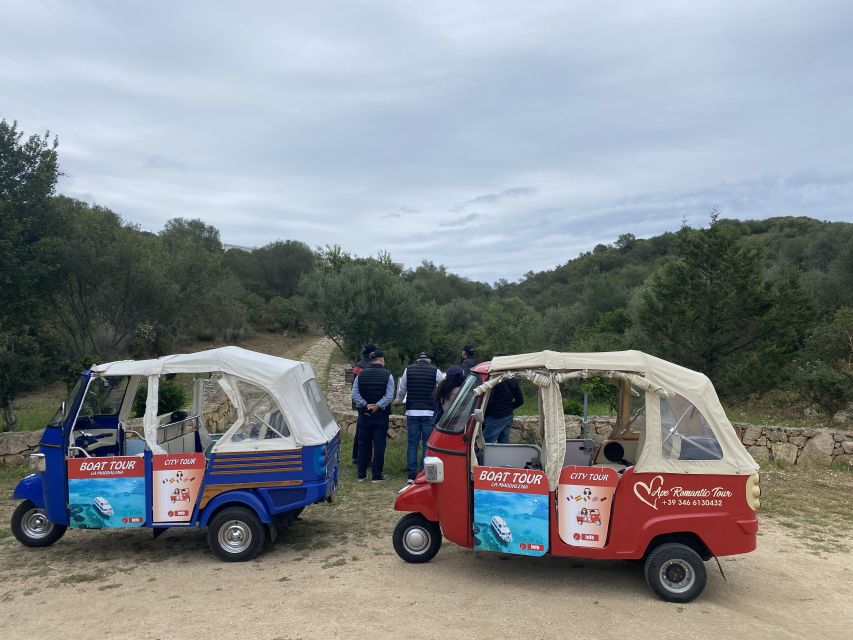 Journey Through Time - Discover Sardinia's Ancient Treasures - Olbia in 2.5 Hours: what this tour is really good at