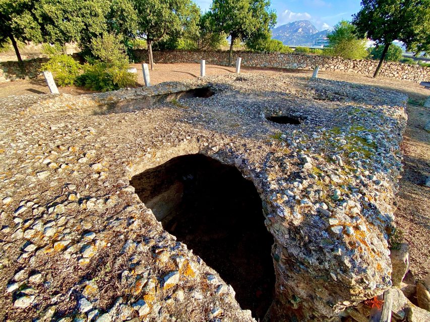 Journey Through Time - Discover Sardinia's Ancient Treasures - Castello di Pedres: a hilltop 14th-century stop with steps and views