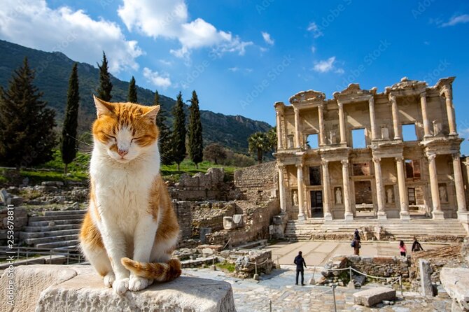 Journey to Ancient Wonders: Explore Ephesus with a Private Tour - Passing Caravanserai, Kusadasi Shopping Center, and Pigeon Island Castle