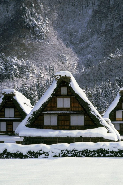 Kanazawa: World Heritage Shirakawa-go & Two Local Experience - Wagashi or Daruma painting: hands-on craft that’s actually fun
