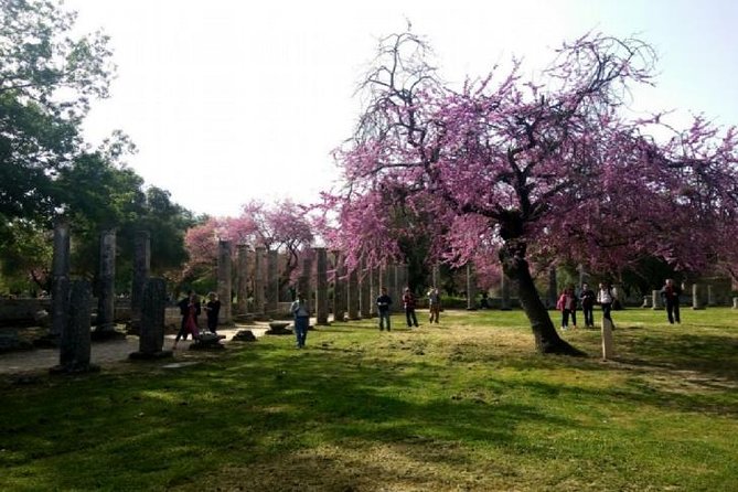 Katakolon Shore Ex: Skip-the-Lines Ancient Olympia & Olive market - Port pickup that actually saves you stress
