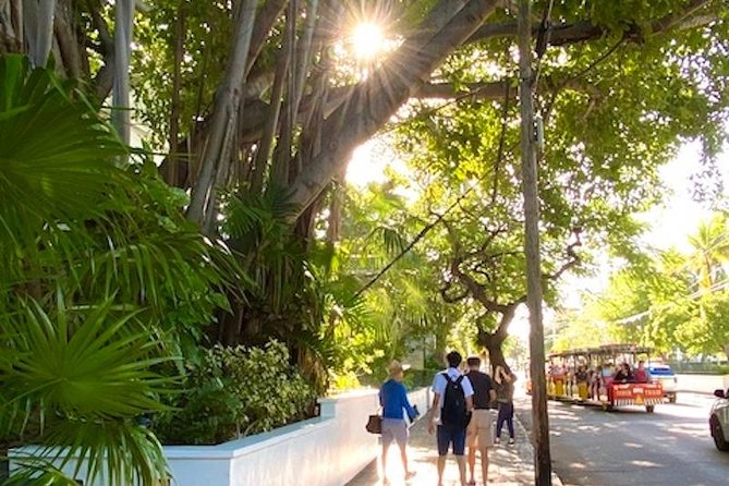 Key West Historic Bahama Village & Hemingway Heritage - Setting off from Duval St and ending at Mary Ellen’s
