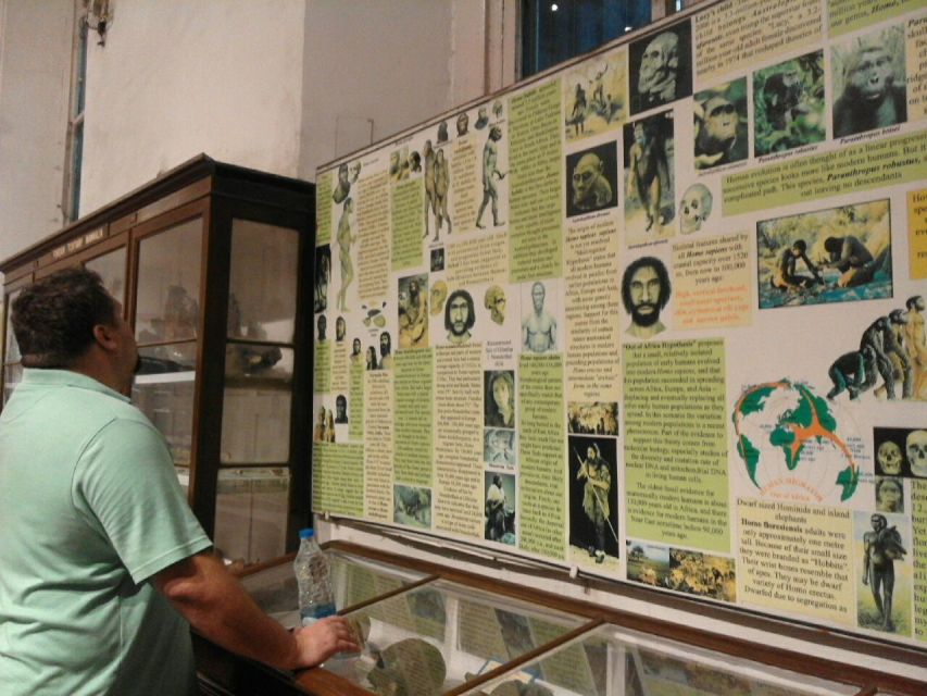 Kolkata: Guided Heritage Walking Tour - Meeting point and logistics that affect your first 10 minutes