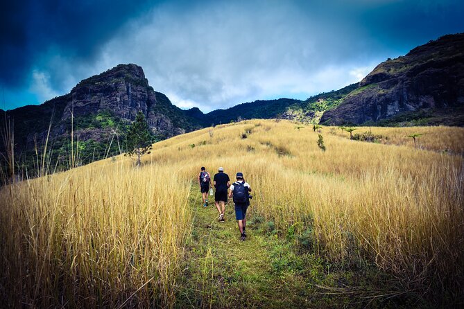 Koroyanitu National Heritage Park Fiji - Hike - Waterfall - Why Koroyanitu feels wilder than the usual Fiji stops