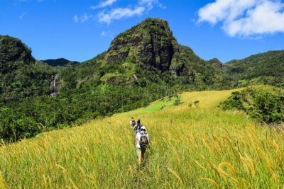 Koroyanitu National Heritage Park Fiji - Hike - Waterfall - Koroyanitu hike: waterfalls, wildlife, and heritage-park stops