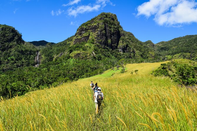 Koroyanitu National Heritage Park Fiji - Hike - Waterfall - Koroyanitu hike: waterfalls, wildlife, and heritage-park stops