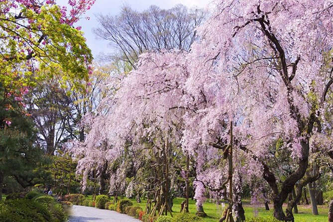 Kyoto: Nijo Castle World Heritage Guided Tour with Admission - Getting More Than Signs: Why a Guide-Led Walk Beats DIY
