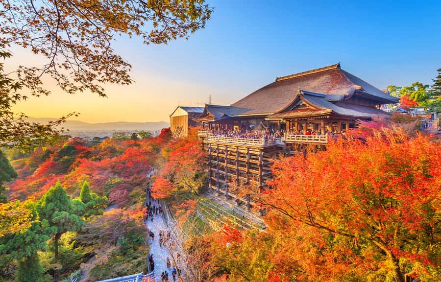 Kyoto/Osaka: Kyoto and Nara World Heritage Day Tour - Kyoto and Nara in one 10-hour loop: what you really get