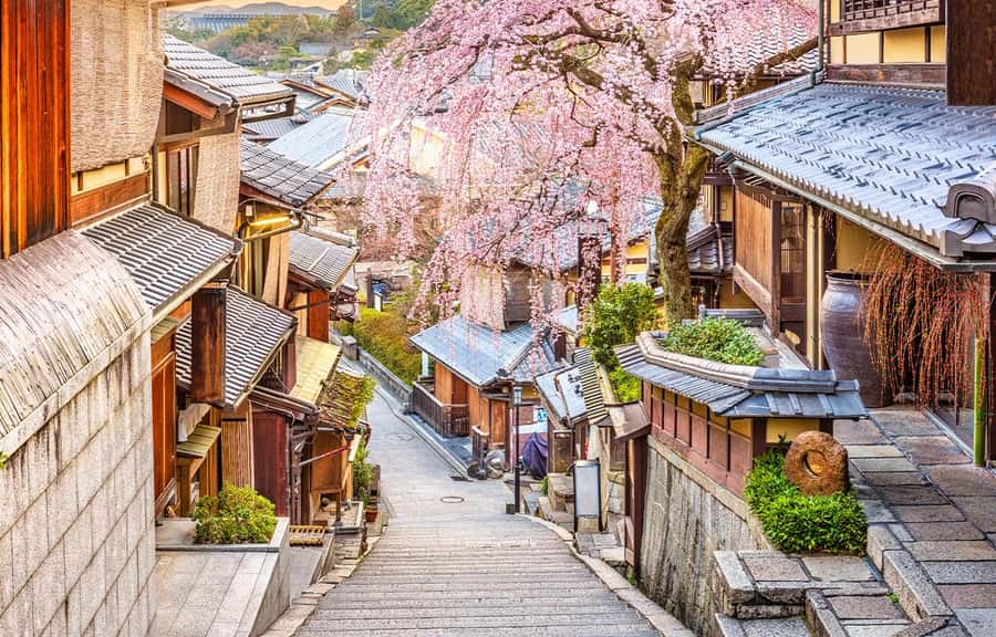 Kyoto/Osaka: Kyoto and Nara World Heritage Day Tour - Nara Park: deer encounters without turning it into chaos