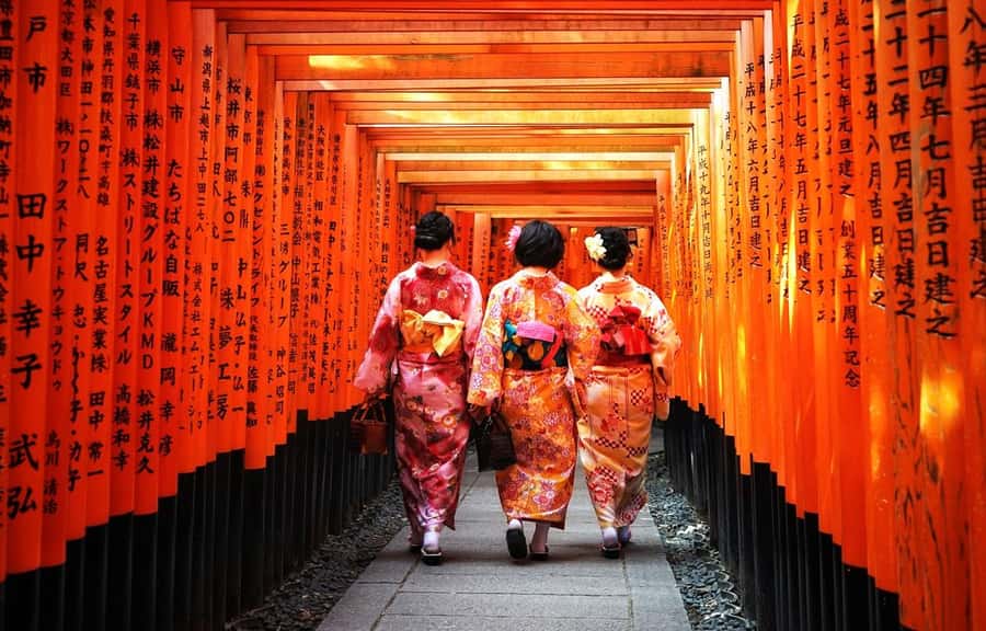 Kyoto/Osaka: Kyoto and Nara World Heritage Day Tour - Timing and crowds: the main thing that can affect your day