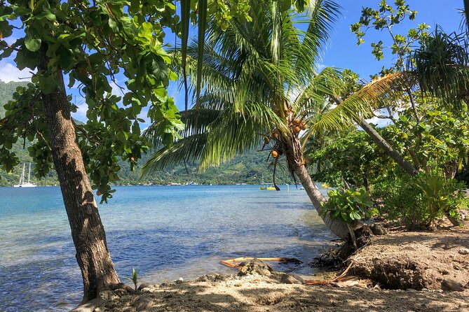 Land and Sea cultural tour to discover traditions, heritage and the lagoon - Snorkeling Stops and the Chance to See Rays (Without Promises)