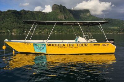Land and Sea cultural tour to discover traditions, heritage and the lagoon - Lagoon Time on a Guided Motorboat: What You’re Really Signing Up For