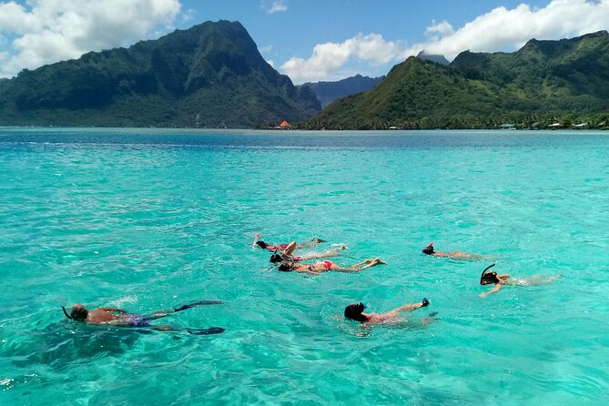Land and Sea cultural tour to discover traditions, heritage and the lagoon - The Private Cultural Center Visit: Learn More Than You Can Google