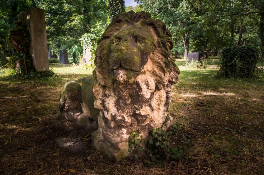 Leipzig Old Cemetery: 75-Minute Dark History Tour - Old Johannisfriedhof: Leipzig’s 750-year-old cemetery you won’t rush