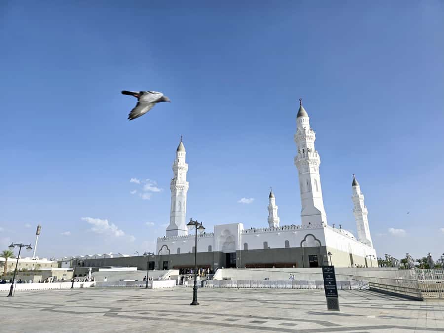 Madinah Culture & History Tour – Led by Local Guide - Al-Mirbad / Al Marbad farm: tea, sweets, and local pace