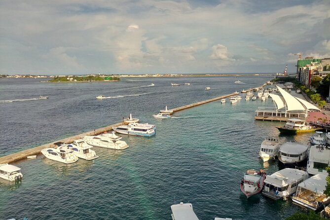 Malé Uncovered Heritage, Culture and Hidden Gems - Stop: Malé Fish Market and why it feels like the city’s heartbeat