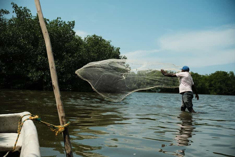 Mangroves, cultural fishing, black heritage town and lunch - Traditional Fishing: Nets, Practice, and the Real Work Behind It