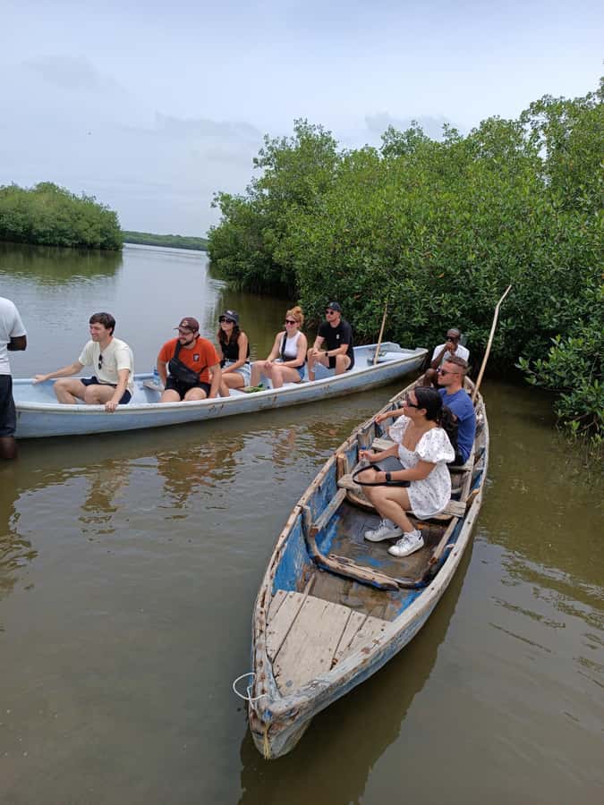 Mangroves, cultural fishing, black heritage town and lunch - Timing, Transportation, and the Meeting Point Reality