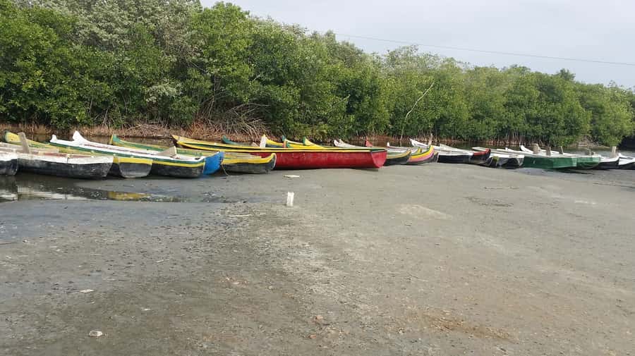 Mangroves, cultural fishing, black heritage town and lunch - Should You Book This Mangrove, Fishing, Heritage, and Lunch Tour?