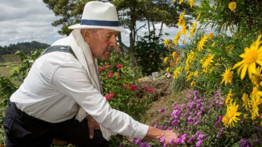 Medellín: Flower Farm & Silletero History Tour - Key highlights worth your attention