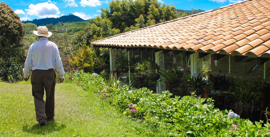 Medellín: Flower Farm & Silletero History Tour - The 4-hour plan: what the timing really feels like
