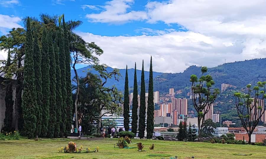 Medellín: Pablo Escobar Historical Tour Complete Experience - Los Olivos neighborhood: a hard stop about need and impact