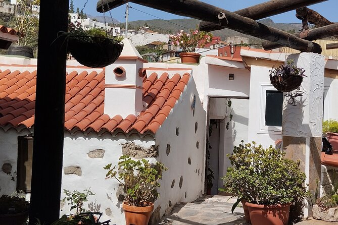 Mojo Cooking Class in an Ancient Canarian Village - What to Expect During the 2-Hour Mojo Workshop