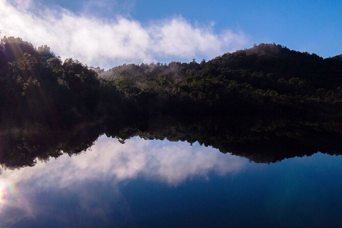 Morning World Heritage Cruise on the Gordon River from Strahan - Comfort, weather, and what to pack for Tasmania’s West Coast