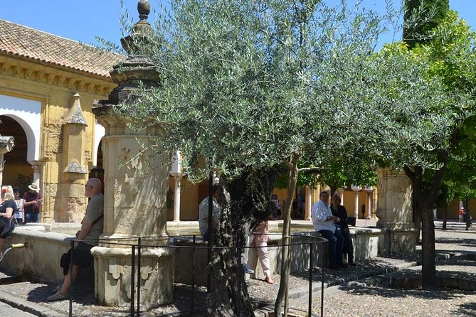 Mosque of Cordoba History Tour in English Tickets included - Your guide: what you’re paying for (and who to look for)