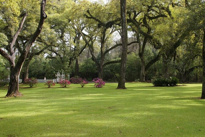 Myrtles Plantation Daytime Historical Tour - Ghost tours on Friday and Saturday nights