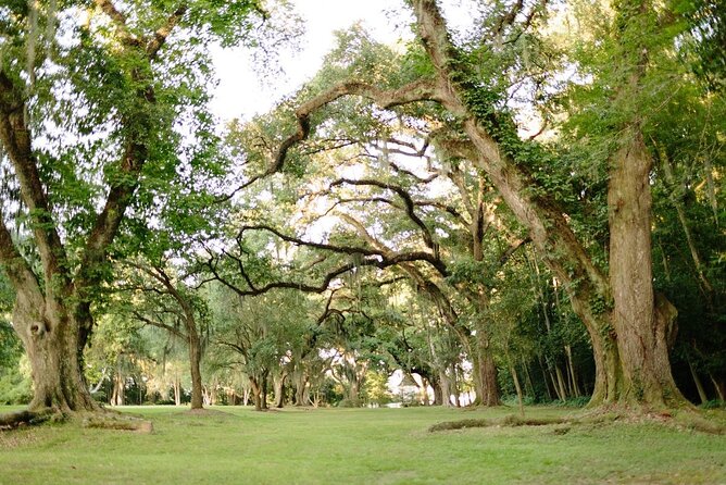 Myrtles Plantation Daytime Historical Tour - Should you book the Myrtles Plantation daytime historical tour?
