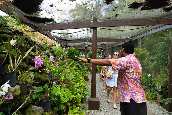 Nadi Heritage Tour - Viseisei first landing village: sugarcane drives, ceremonial bure, and crafts