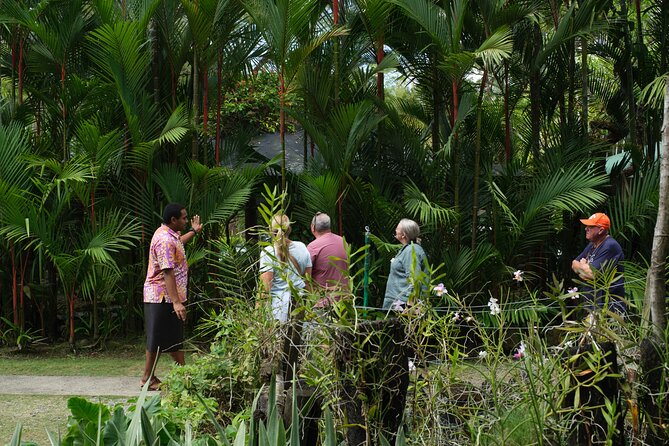 Nadi Heritage Tour - TifaJek Mud Pools: the natural spa break that resets your day