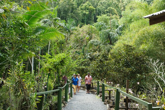 Nadi Heritage Tour - Transportation, group size, and comfort from Denarau