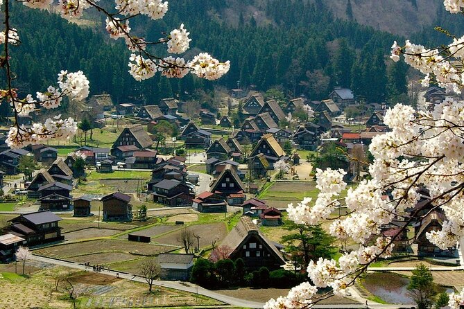Nagoya: 2026 Hida Takayama Shirakawa-go Light-up Winter Tour - Winter Illumination: select-date magic on Jan 25 and Feb 1