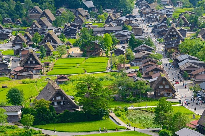 Nagoya: 2026 Hida Takayama Shirakawa-go Light-up Winter Tour - The guide and language reality: English may not be the only language