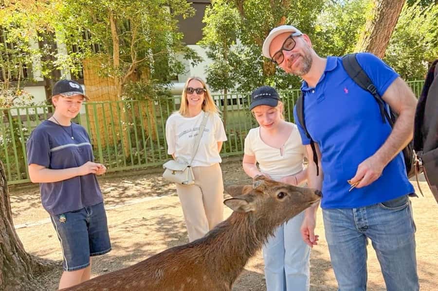Nara: Half-Day UNESCO Heritage & Local Culture Walking Tour - Key highlights you’ll feel right away