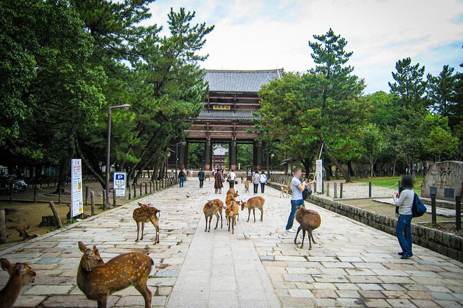 Nara World Heritage PRIVATE TOUR - Todai-ji Namdaimon (Grand South Gate): The Gate That Sets the Tone